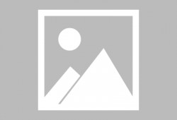 埠西市场爆料事件最新,揭秘背后真相与影响